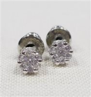 Orecchini Rebecca Donna in Argento Zircone SDIOBB71 - SDIOBB71